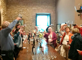 Wine activities