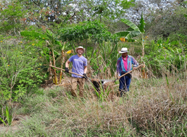 On-the-ground work