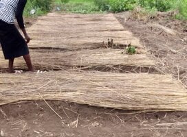 Necessary Bed setup in Torit