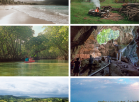 Caribbean Mini Semester | Pacific Discovery