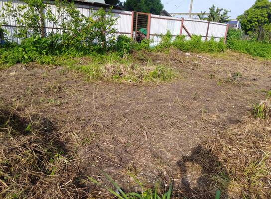 Farm school site 