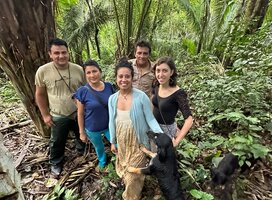 Visiting a botanical garden in the jungle with another 4 people