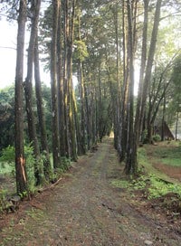 Farm lane