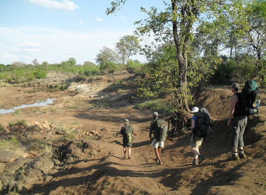 TalentProjX backpack trail in the Kruger National Park Mpongolo area