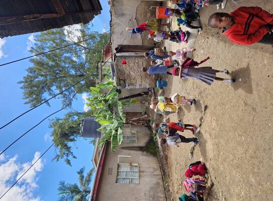Tanzania free volunteer and intern program