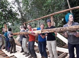 jungle volunteers