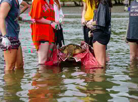 Gap Year participants at the beach during 
