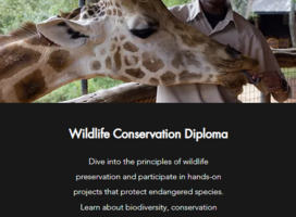 wildlife conservation diploma