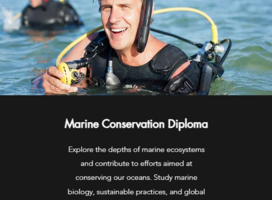 Marine Conservation Diploma