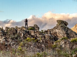 Landscapes