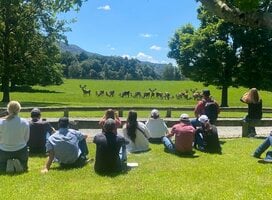 Visit to a deer farm 