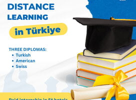 Remote education in Turkiye
