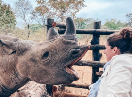 Volunteer with Black Rhino
