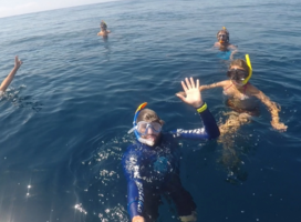 Volunteers in the Ocean