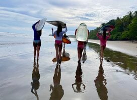 Surf boards