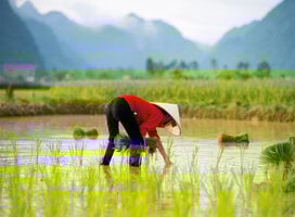 GEI Vietnam