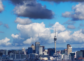 Explore New Zealand!