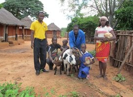 Love Volunteers in Zimbabwe 