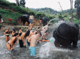 Thailand Interns