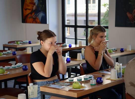 Students enjoy an olive oil tasting in Italy