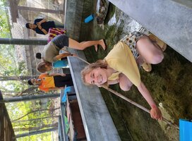 Volunteers help the staff cleaning the turtle tubs