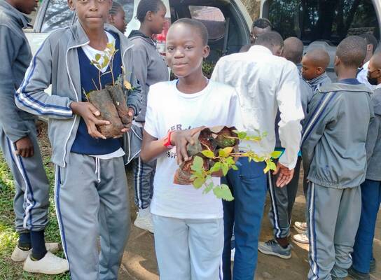 children receiving tree seedlings