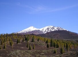 Teide