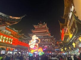 You will be based in Shanghai, the technology and modernization hub of China 
