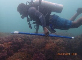 Participant conducting quadrat data collection