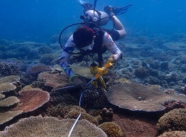 Conducting MPA assessments