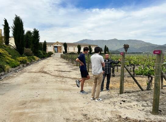 Wine Theory Candidates at a Vineyard in Chile