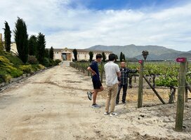 Wine Theory Candidates at a Vineyard in Chile