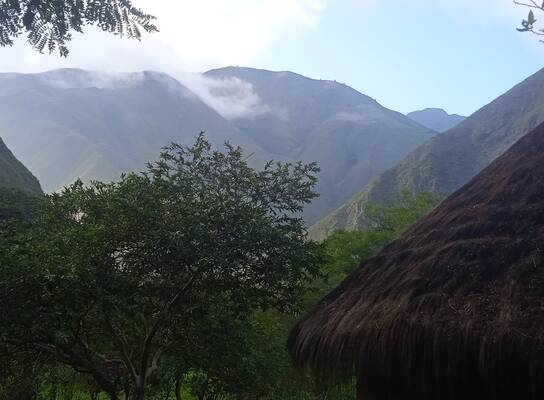 Mountain fog in the mornings