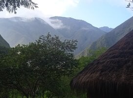 Mountain fog in the mornings