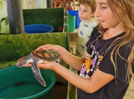 Family Volunteering Abroad - GoEco