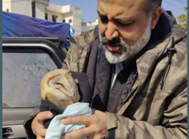 Bird Rescue Program in January 