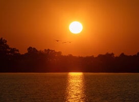 African Sunset
