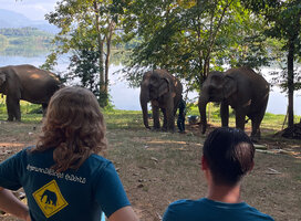 Students observe elephants
