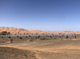 Erg chebbi Dunes