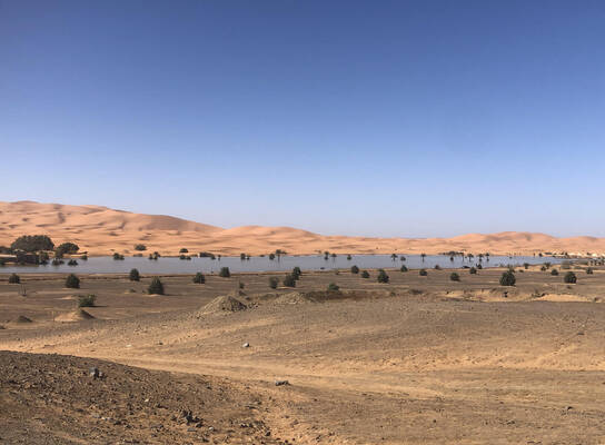Erg chebbi Dunes