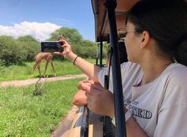 Our client captured Giraffe 