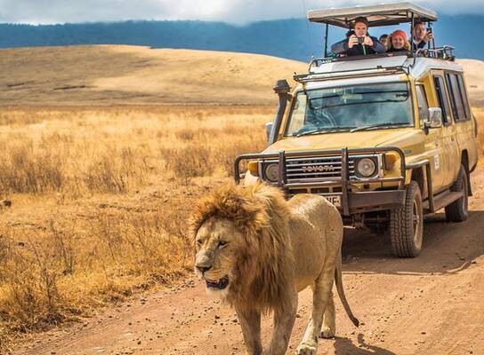 Ngorongorongoro Crater 