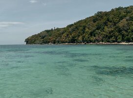 A tranquil view of Pandan-Pandan Island’s crystal-clear, untouched waters gently meeting the lush, forested shoreline. 