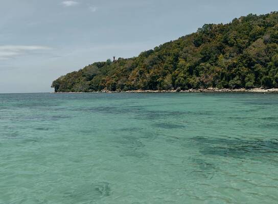 A tranquil view of Pandan-Pandan Island’s crystal-clear, untouched waters gently meeting the lush, forested shoreline. 