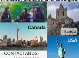 Cursos académico 