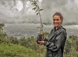 Tree planting.