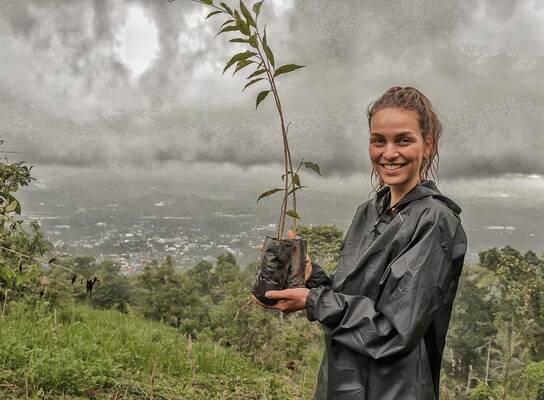 Tree planting.