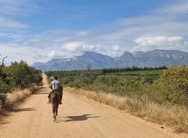 Gravel road to the lodge on horseback