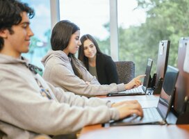  Bachelor in Business Administration (Miami, FL)