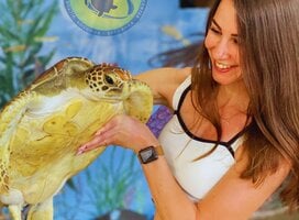 Introduction to turtle